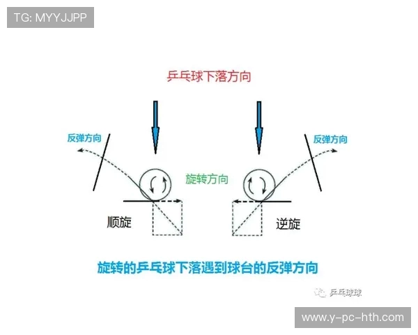乒乓球的速度与旋转之美探秘世界冠军背后的科学与激情