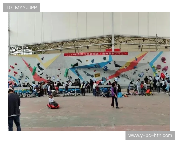 杭州极限运动队在攀岩联赛中的战术分析与表现评估