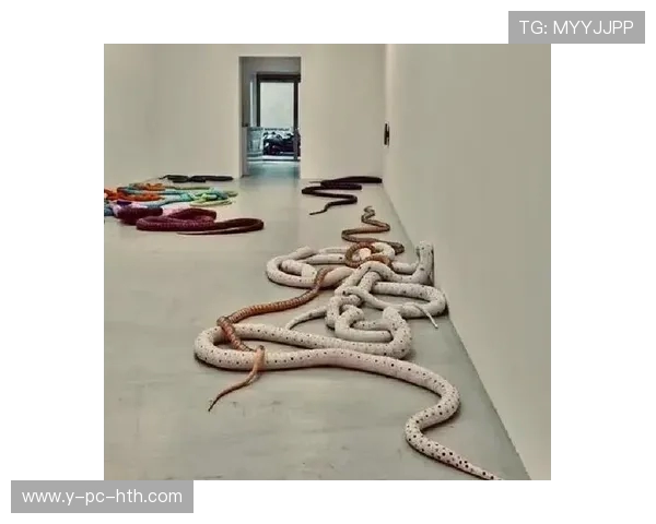 加莱诺的艺术魅力与文化影响力探讨：从创作到当代艺术的启示